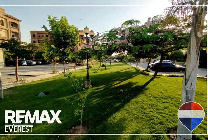 56494475 - Property Image 2