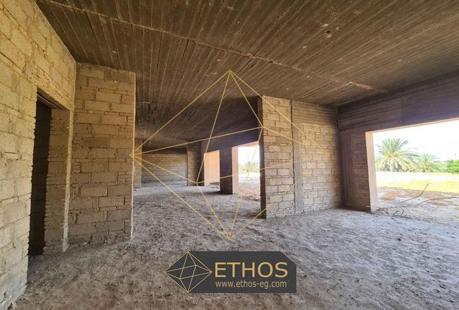 59249549 - Property Image 2