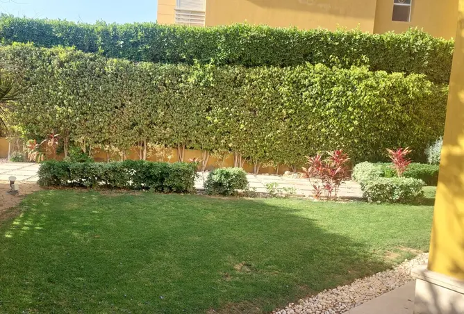 110473978 - صورة العقار 3