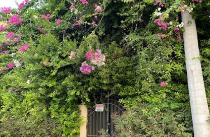 Apartment - 2 Bedrooms - 1 Bathroom for rent in Katameya Gardens - El Katameya Compounds - El Katameya - New Cairo City - Cairo