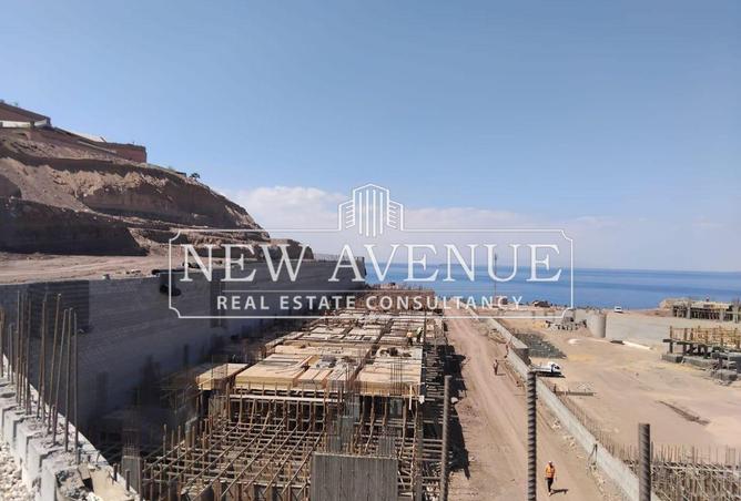 54235562 - Property Image 2