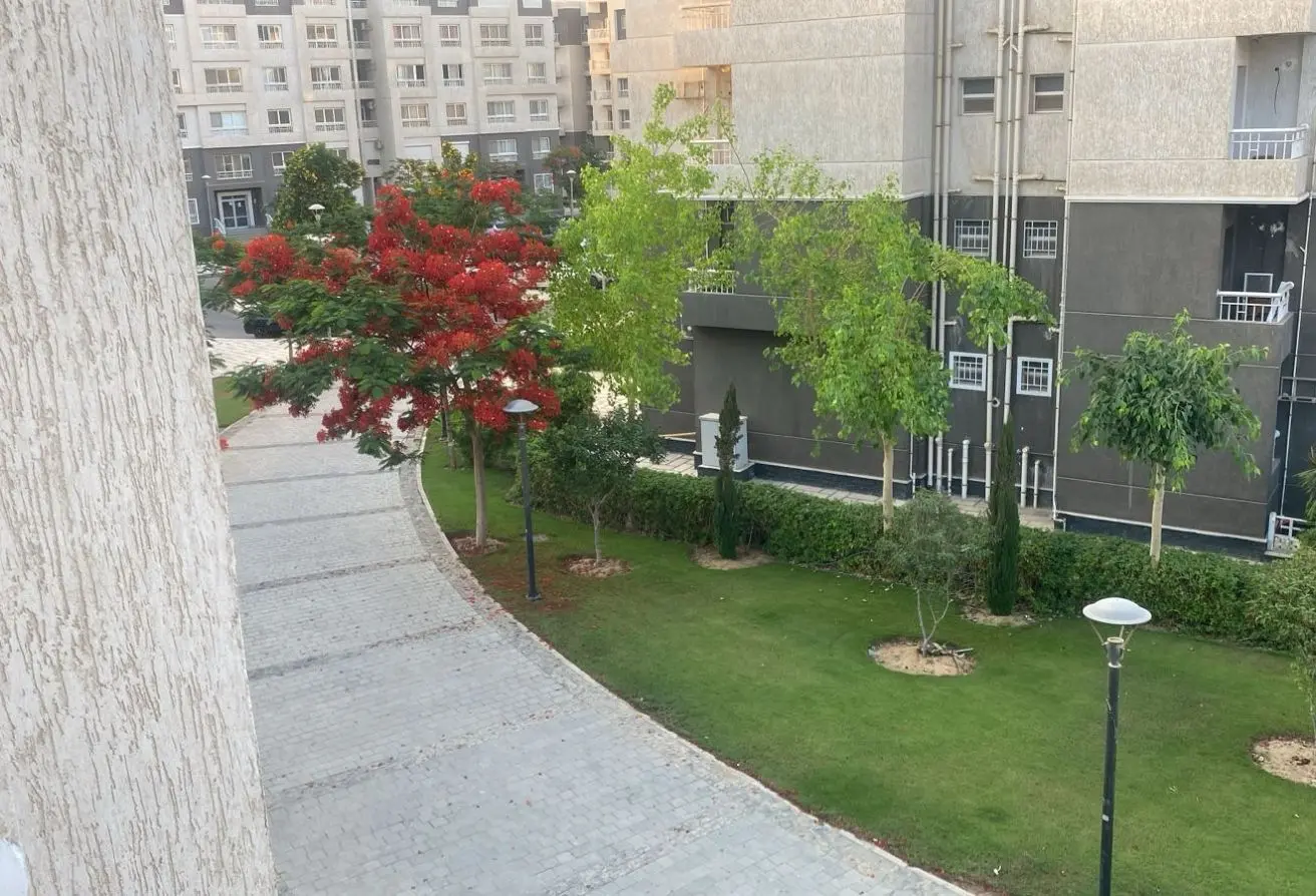 120362371 - الصورة الرئيسية للعقار