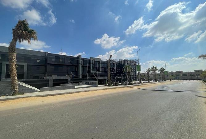 98008155 - صورة العقار 3