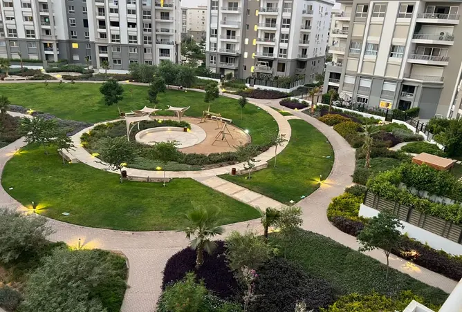 106303851 - Property Image 3