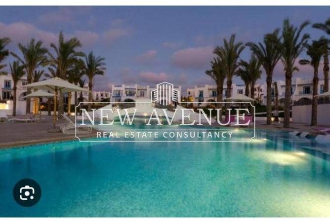 56496834 - Property Image 3