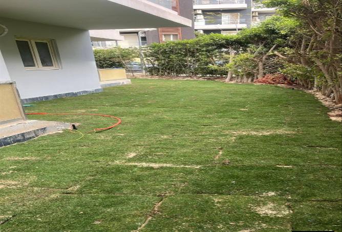 79979620 - Property Image 2