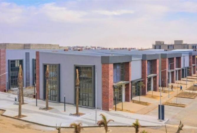 56493217 - صورة العقار 2