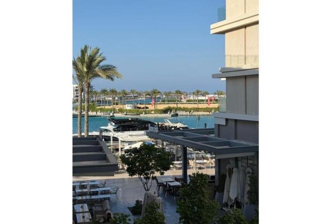 100635525 - صورة العقار 3