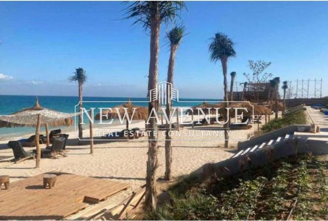 57236563 - صورة العقار 3