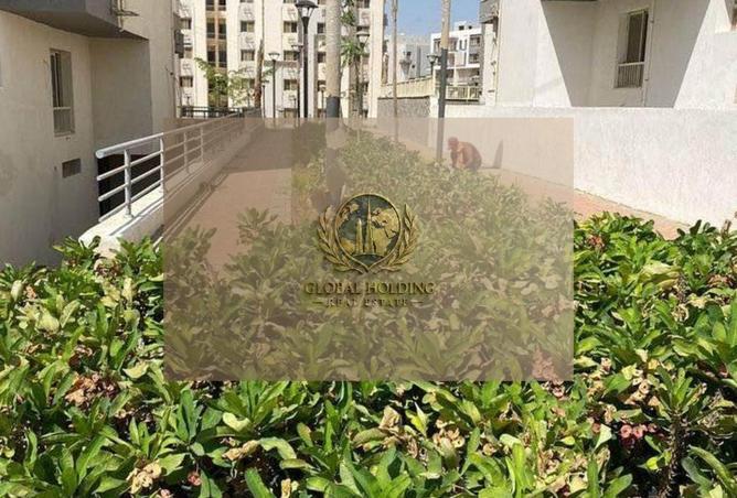 8719352 - صورة العقار 3