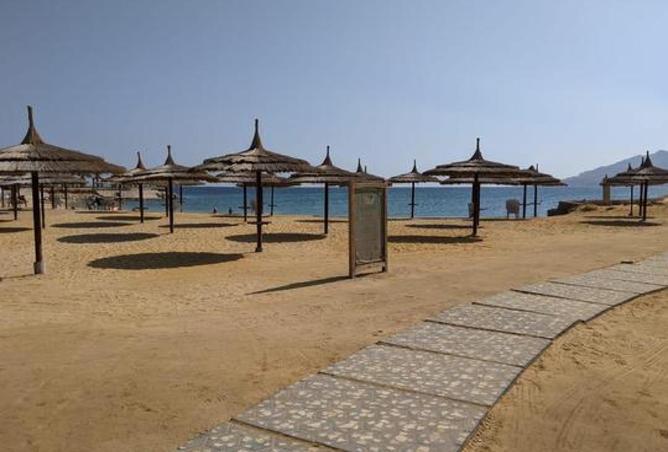 66167471 - صورة العقار 3