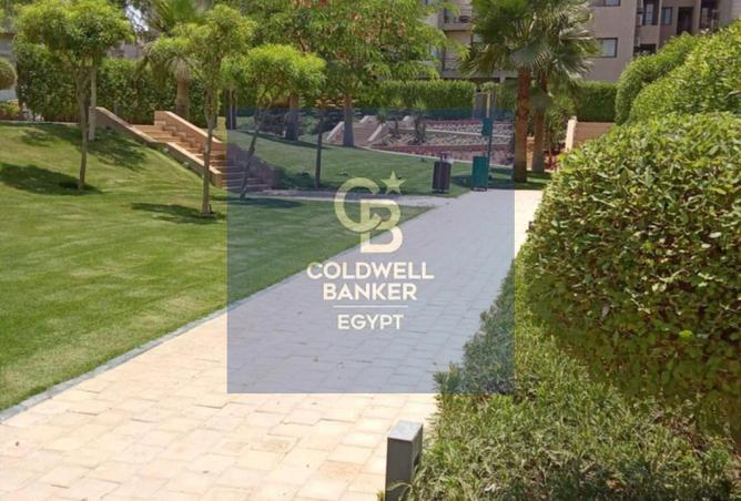 64895641 - Property Image 3