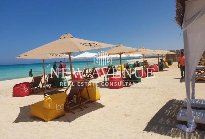 59242971 - Property Image 3