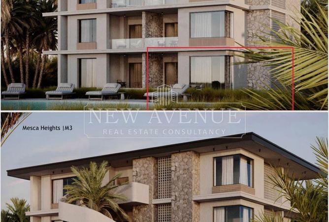 76781235 - Property Image 3