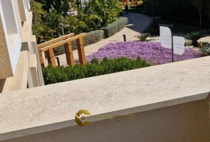 67730736 - صورة العقار 3