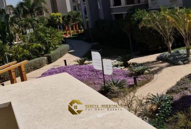 67730736 - صورة العقار 2