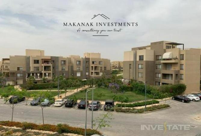 99813395 - Property Image 3