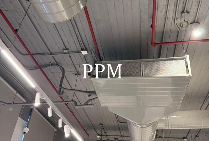 8447079 - صورة العقار 3