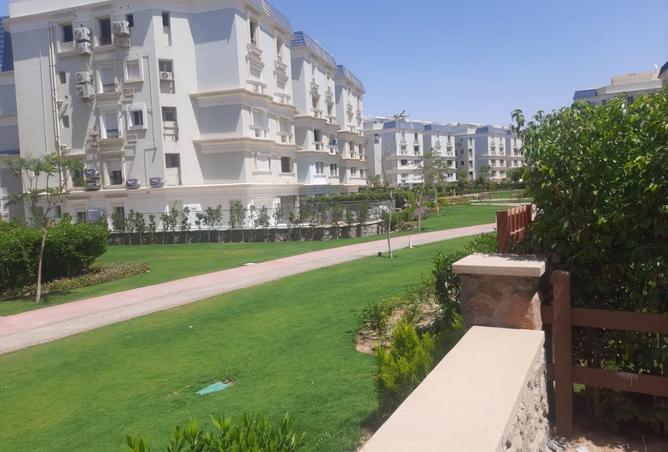 8411531 - Property Image 2