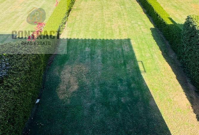 54762531 - صورة العقار 2