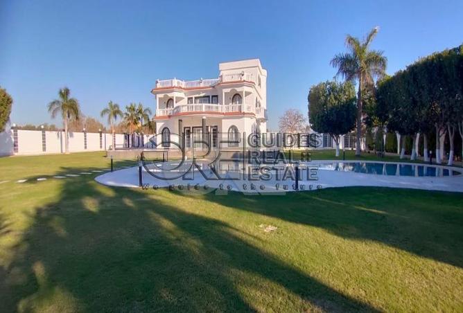 53979608 - صورة العقار 3