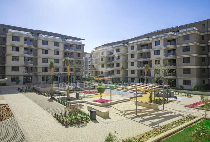 66435799 - Property Image 3