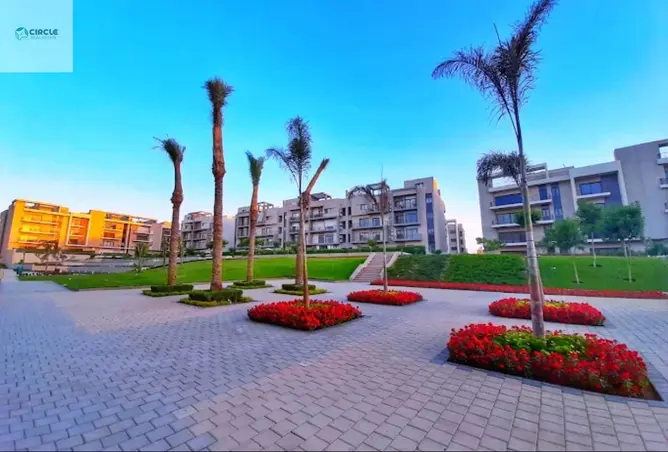 110466887 - Property Image 3