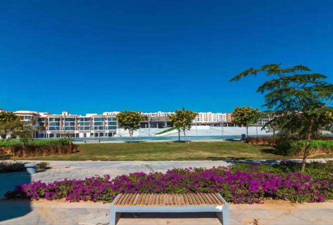 8438702 - Property Image 3