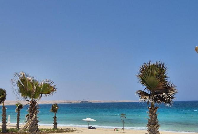 67472681 - صورة العقار 2