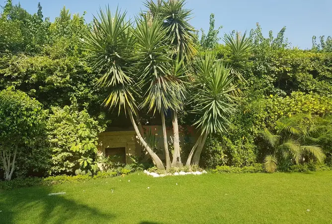 116751224 - صورة العقار 3