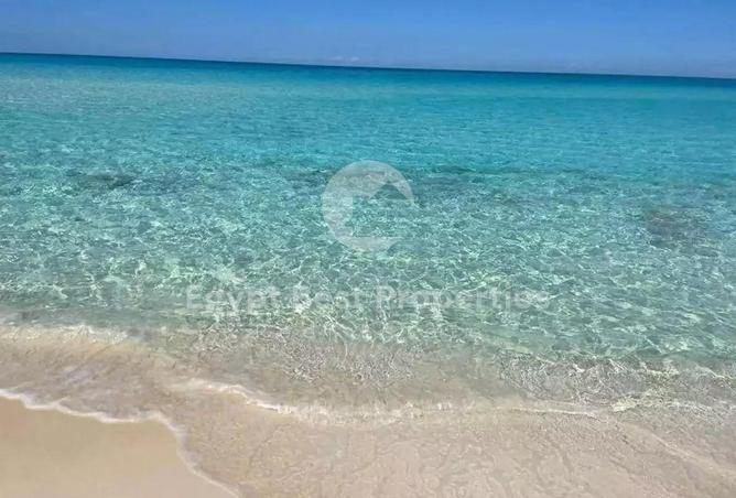 81576440 - الصورة الرئيسية للعقار