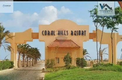 Apartment - 1 Bedroom - 1 Bathroom for sale in Coral Hills - Qesm Ad Dabaah - North Coast Apartment - 1 Bedroom - 1 Bathroom for sale in Coral Hills - Qesm Ad Dabaah - North Coast