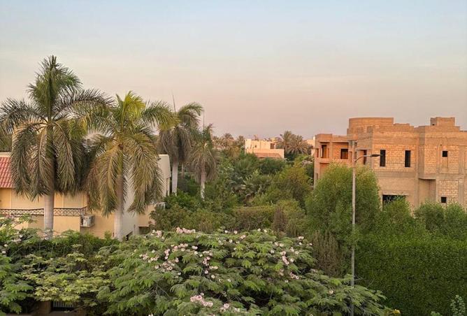 59501949 - صورة العقار 2