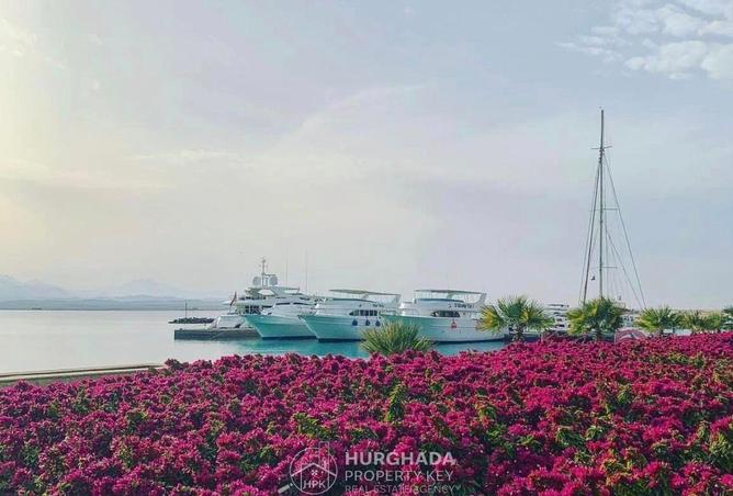 8695068 - صورة العقار 3