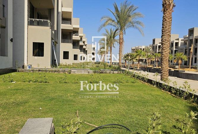 81577541 - صورة العقار 3
