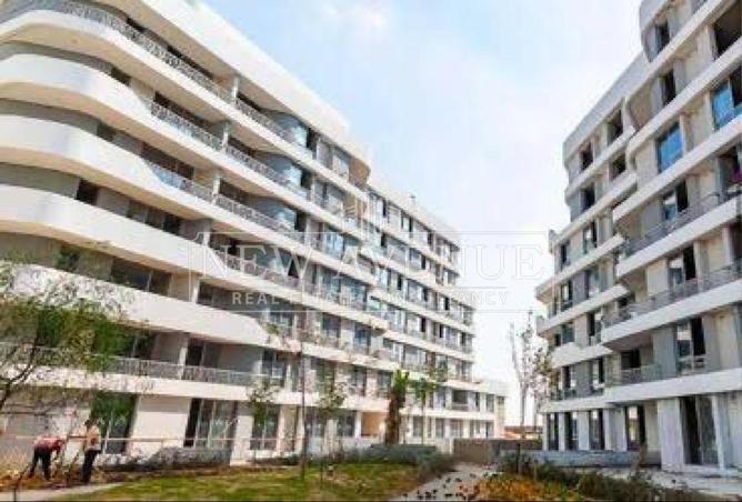80251601 - Property Image 2