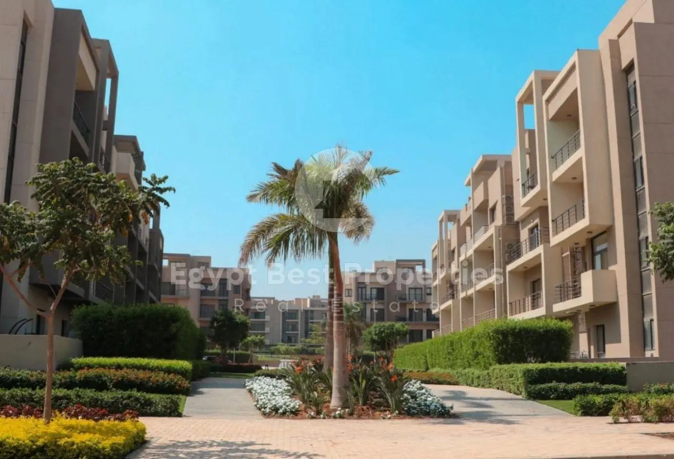 113542693 - الصورة الرئيسية للعقار
