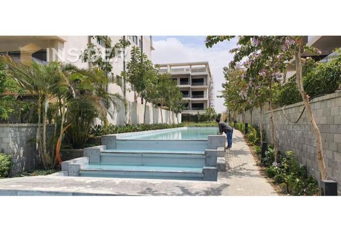 8513199 - Property Image 3