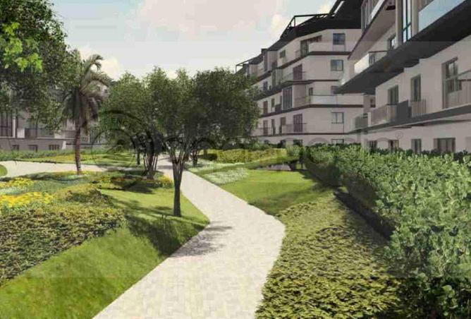 64133867 - Property Image 3