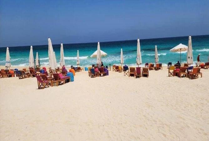 66949407 - صورة العقار 3