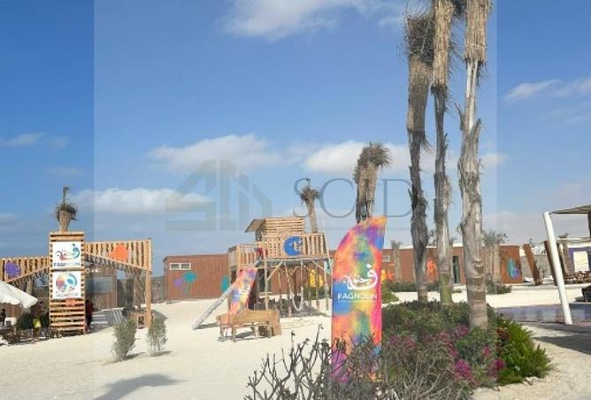 81319202 - صورة العقار 2