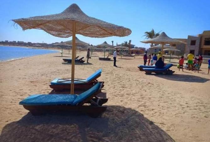 69565776 - صورة العقار 2