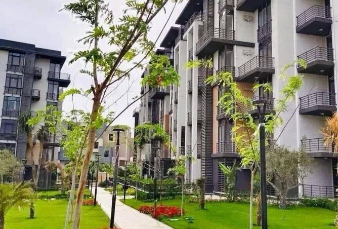 8490503 - Property Image 3