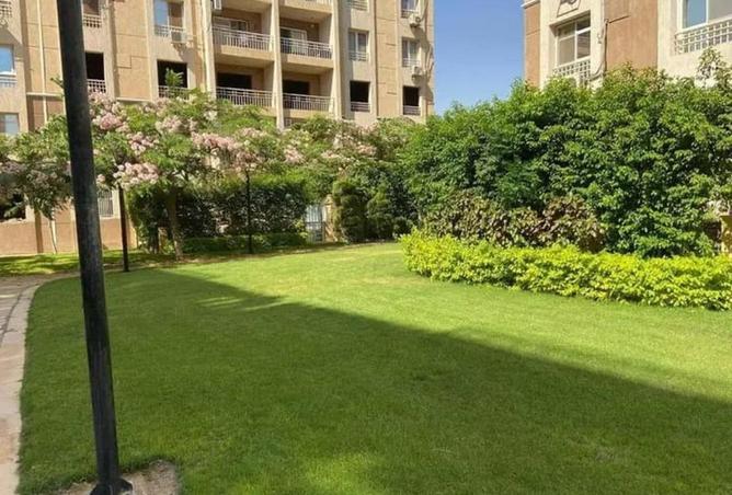 55263736 - صورة العقار 3