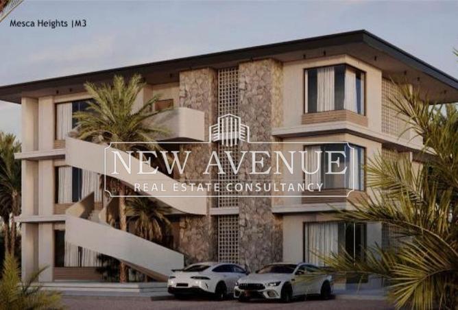 70367491 - صورة العقار 3