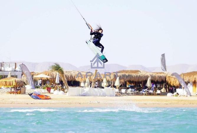 66174965 - صورة العقار 3