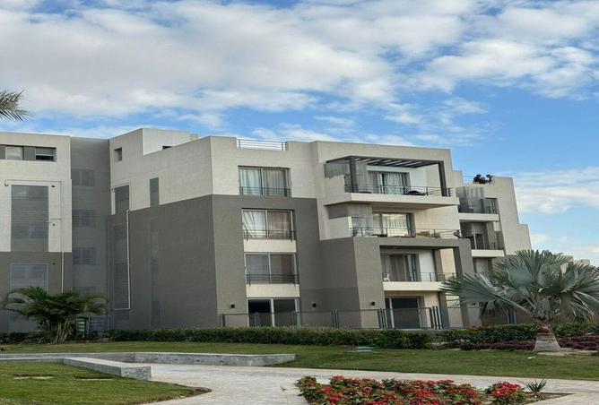 91294817 - Property Image 3