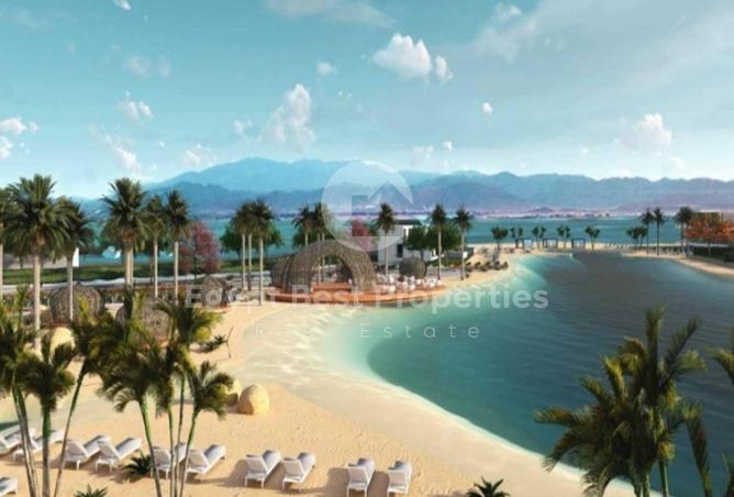 8675867 - Property Image 3