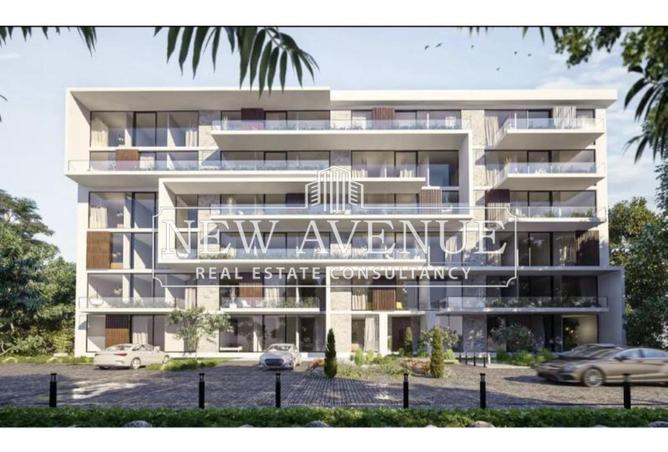 57743532 - Property Image 3