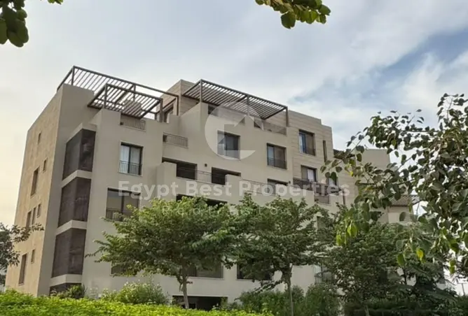 119338743 - Property Image 3